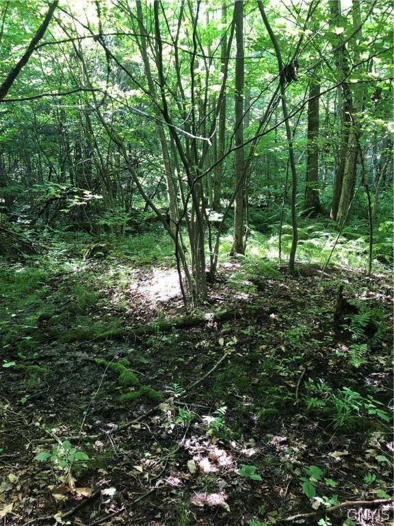 0 Senior Avenue - Photo 1