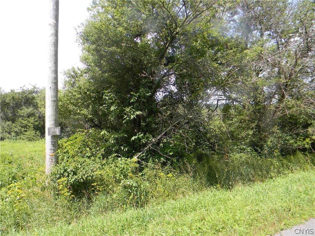 0 Atwood Road - Photo 1