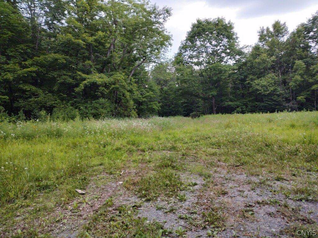 00 Ward Loomis Road - Photo 1