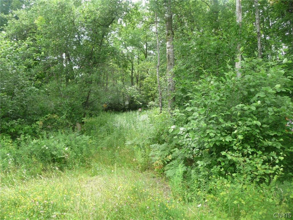 0 Torrey Hill Road - Photo 1