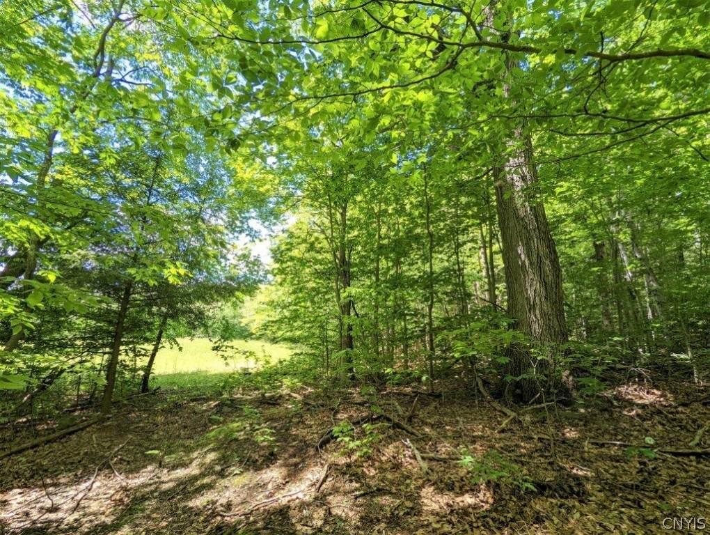 00 Beeman Hollow Road - Photo 1