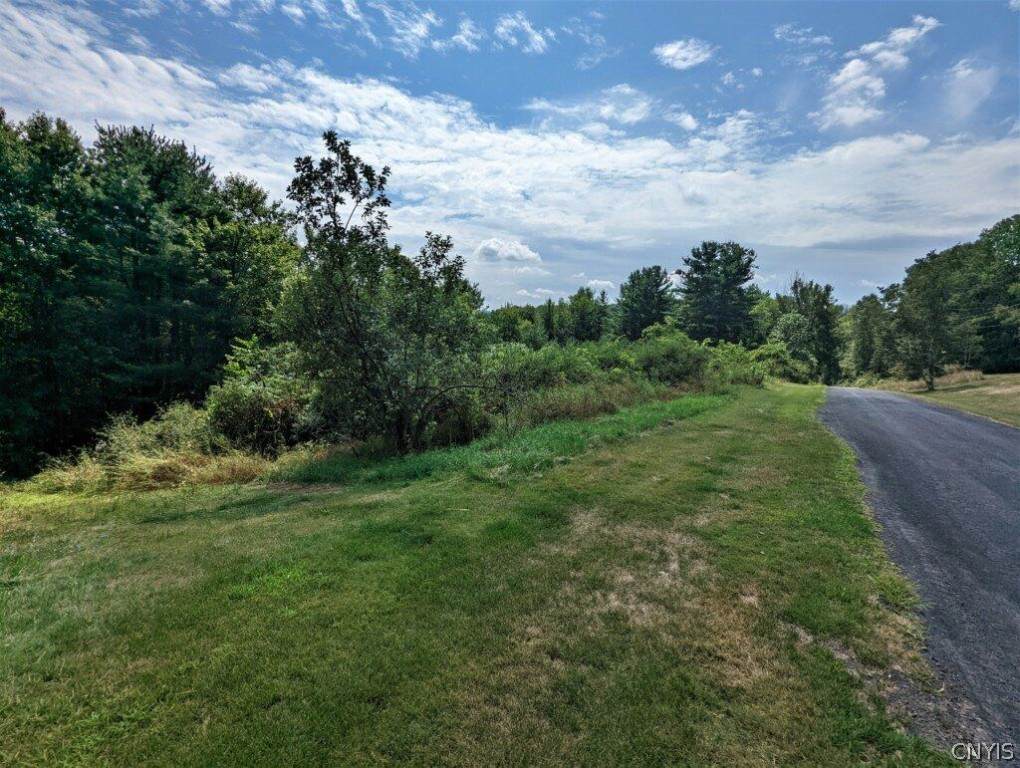 00 Ridgeview Acres Road - Photo 1