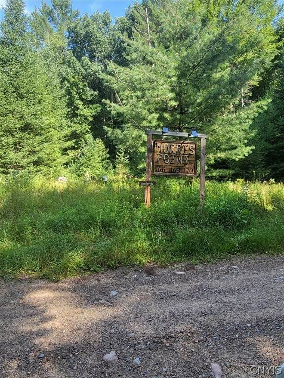 000 Cohasset Point Road - Photo 1