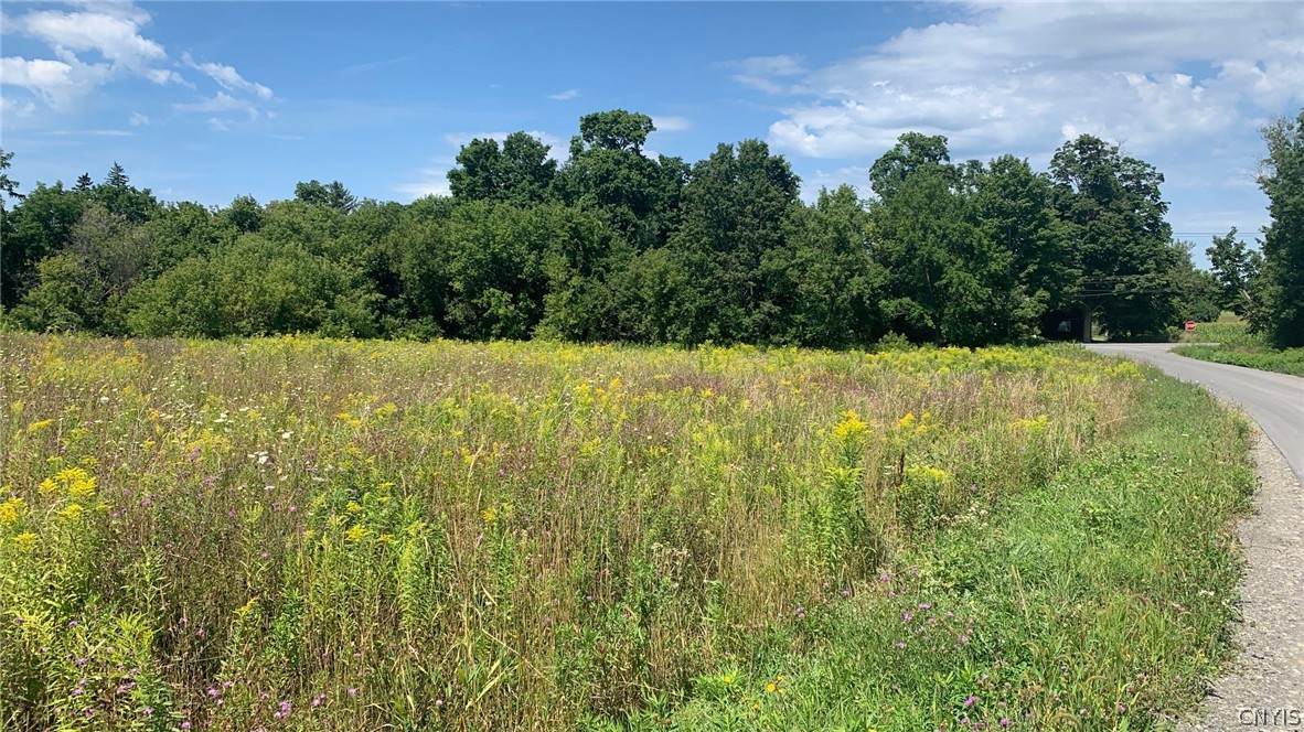 3330 Lot 1 Cannon Crest Dr - Photo 1