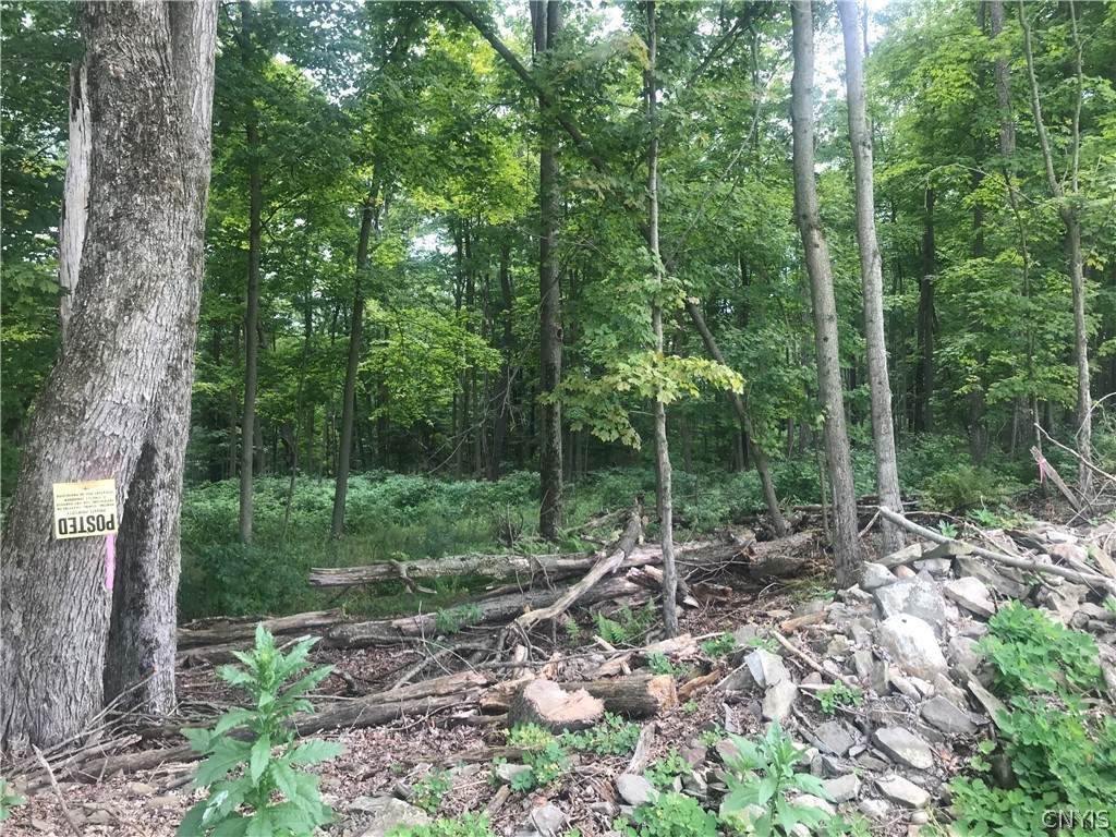 0 Route 81 - Photo 1