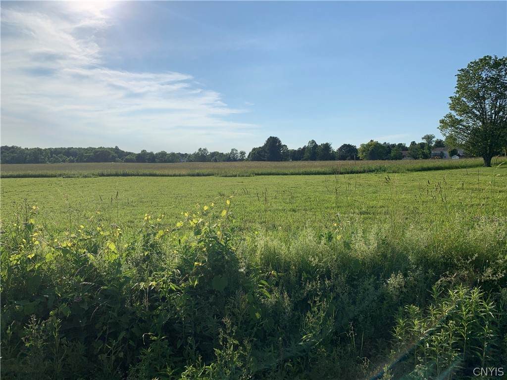 0-Lot 1 Cavanaugh Road - Photo 1