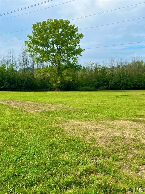 00 Turnpike Road - Photo 1