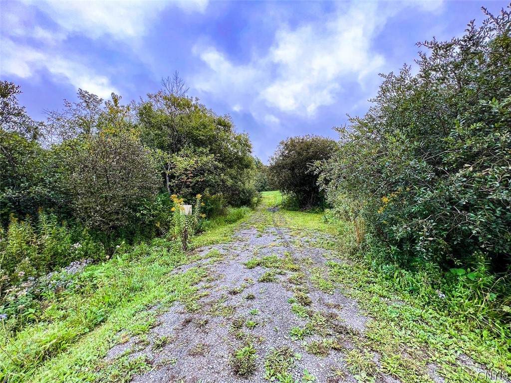 0 Van Dressen Road - Photo 1