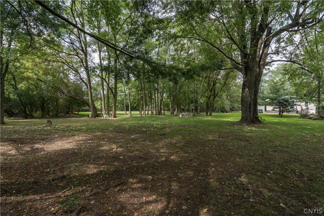 20065 Evans Road - Photo 1