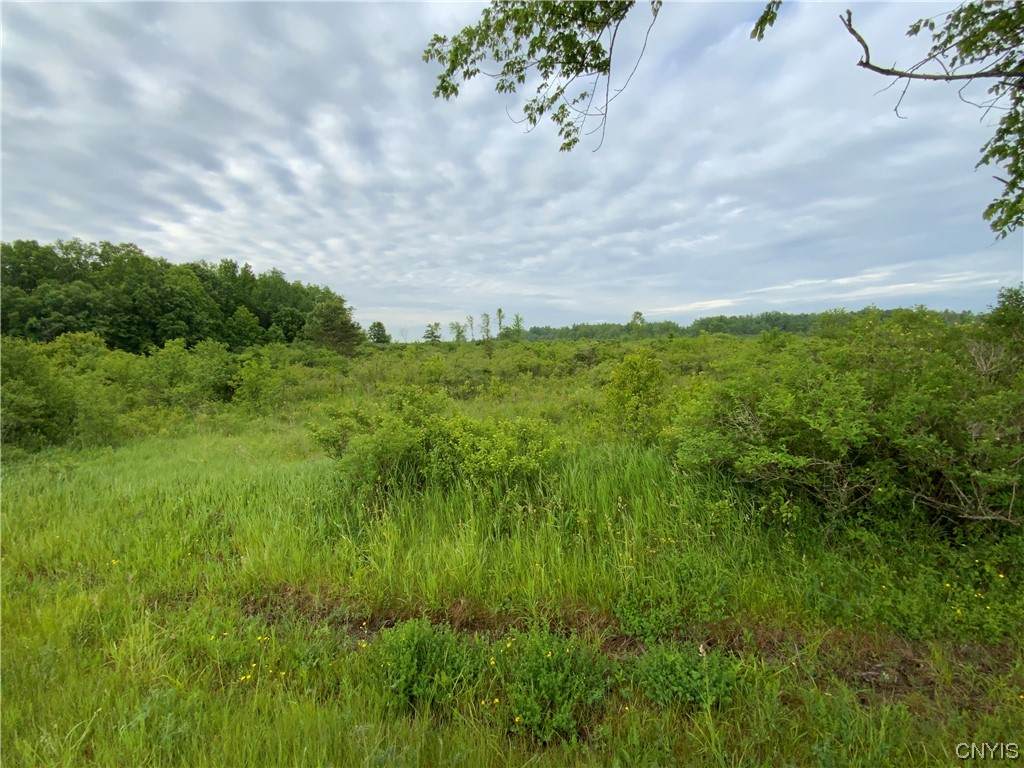 Lot 4 Hart Road - Photo 1
