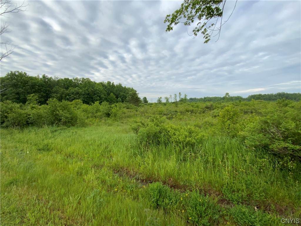 Lot 10 Hart Road - Photo 1