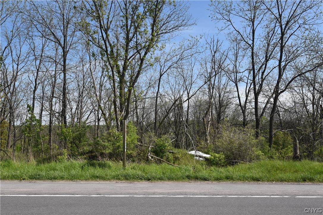 0 Middlesettlement Road - Photo 1