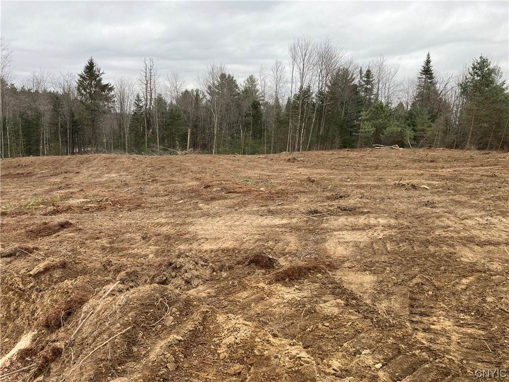 0 Mackinaw & Beaver Int - Photo 1