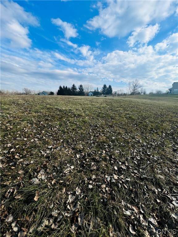 0 Will New Boulevard - Photo 1