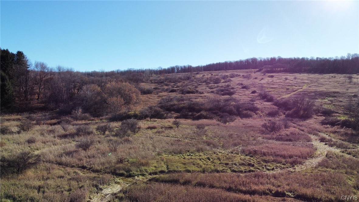 0 Starr Road - Photo 1