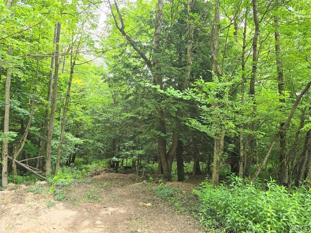 https://bt-photos.global.ssl.fastly.net/rochester/orig_boomver_1_S1543580-2.jpg
