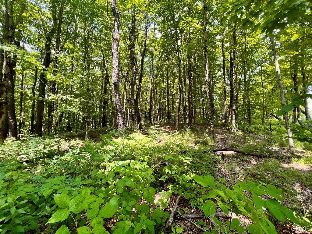 https://bt-photos.global.ssl.fastly.net/rochester/orig_boomver_1_S1545136-2.jpg