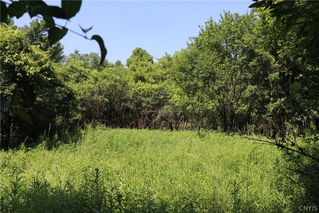 Lot 1 Mcdonald Road - Photo 1