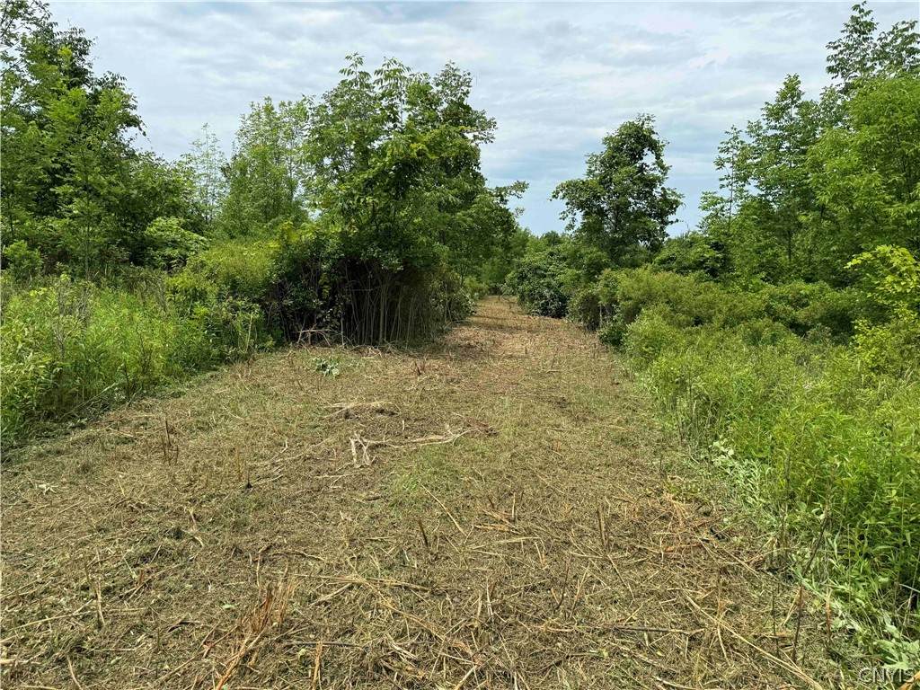 00 Johnson Road - Photo 1