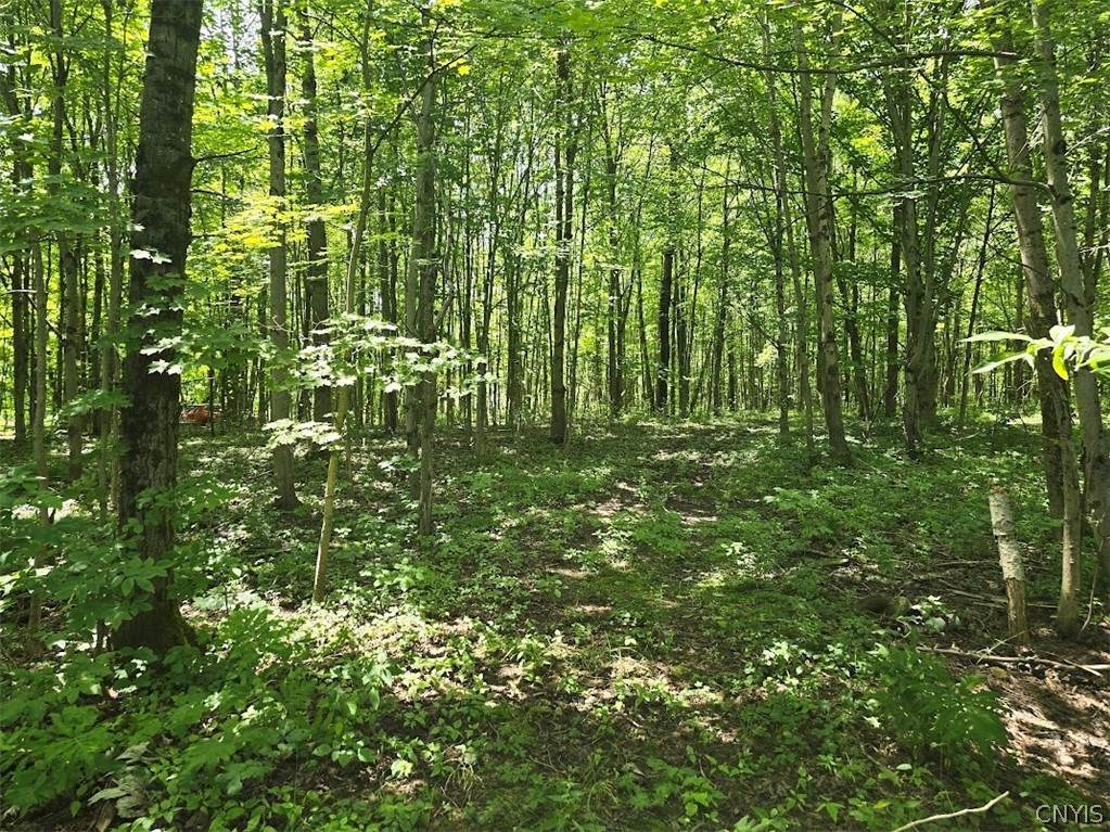 https://bt-photos.global.ssl.fastly.net/rochester/orig_boomver_1_S1551169-2.jpg