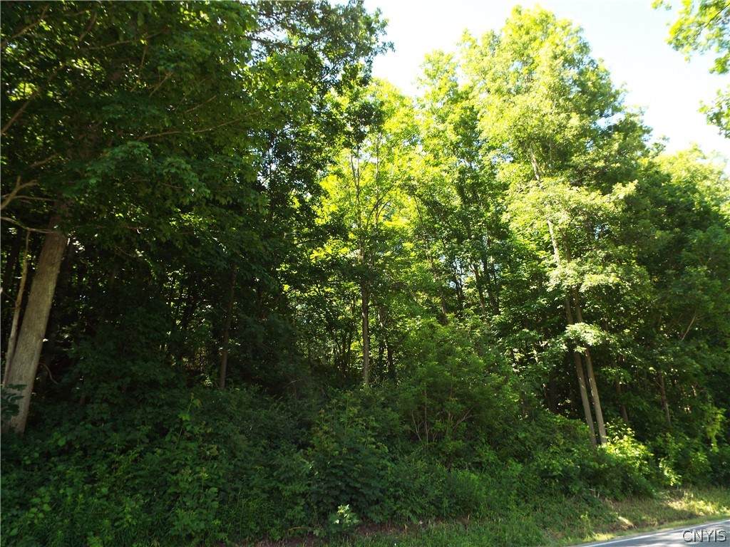 https://bt-photos.global.ssl.fastly.net/rochester/orig_boomver_1_S1551436-2.jpg