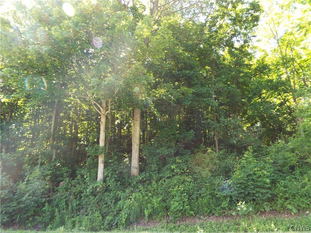 https://bt-photos.global.ssl.fastly.net/rochester/orig_boomver_1_S1551436-2.jpg