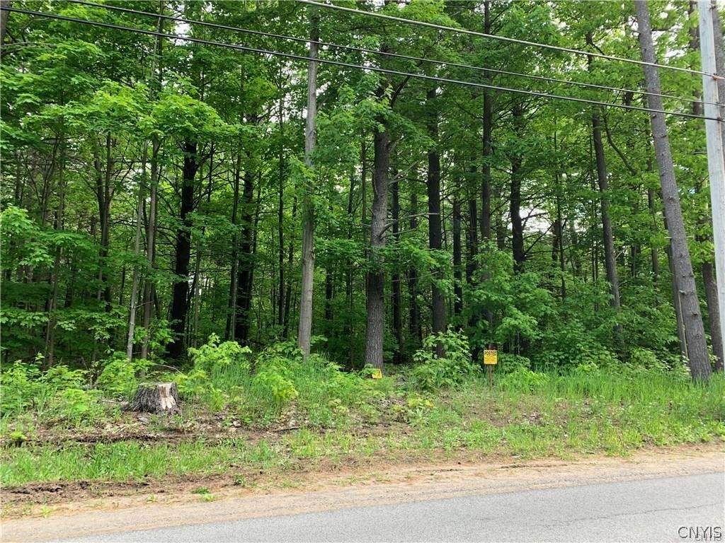 0 Burnup Road - Photo 1