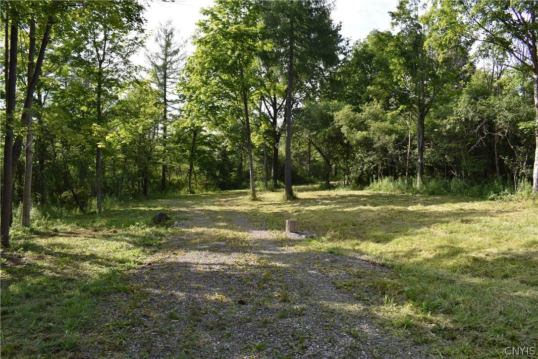 L16 Owahgena Road - Photo 1