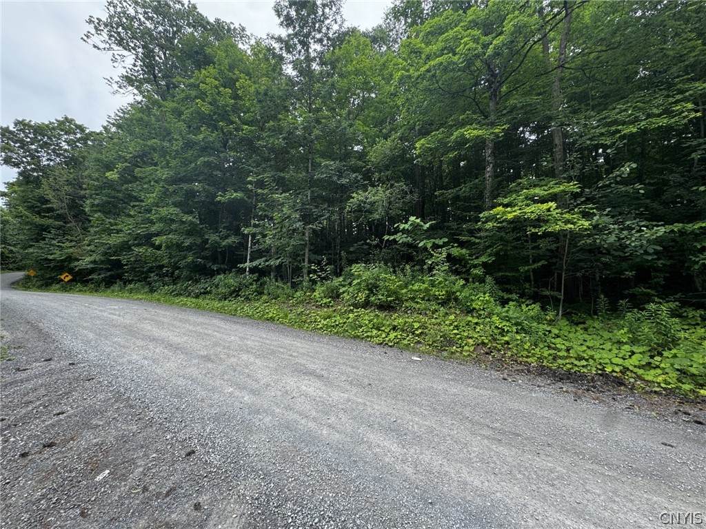 0 Old State Road - Photo 1
