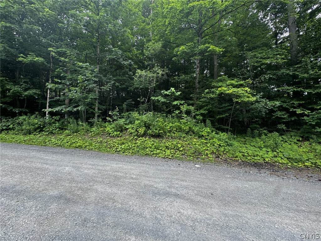 0 Culpepper Road - Photo 1