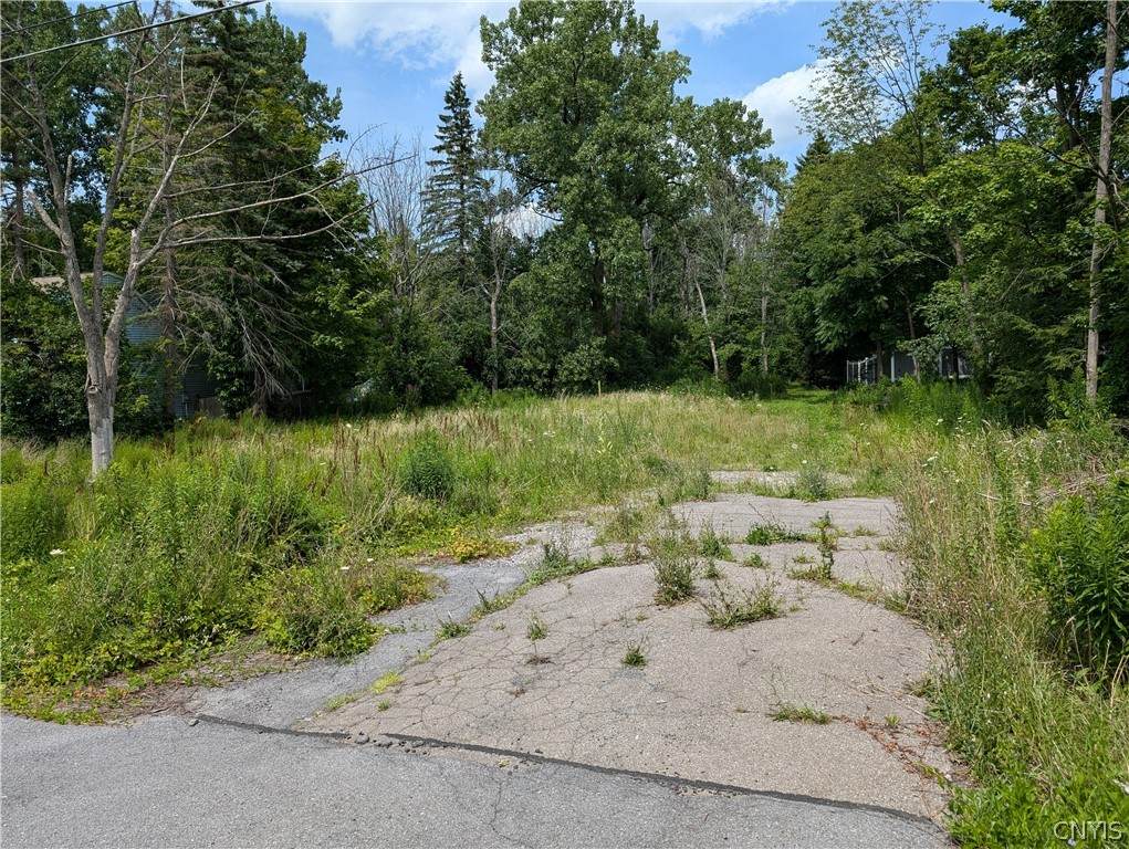 3789 Howlett Hill Road - Photo 1