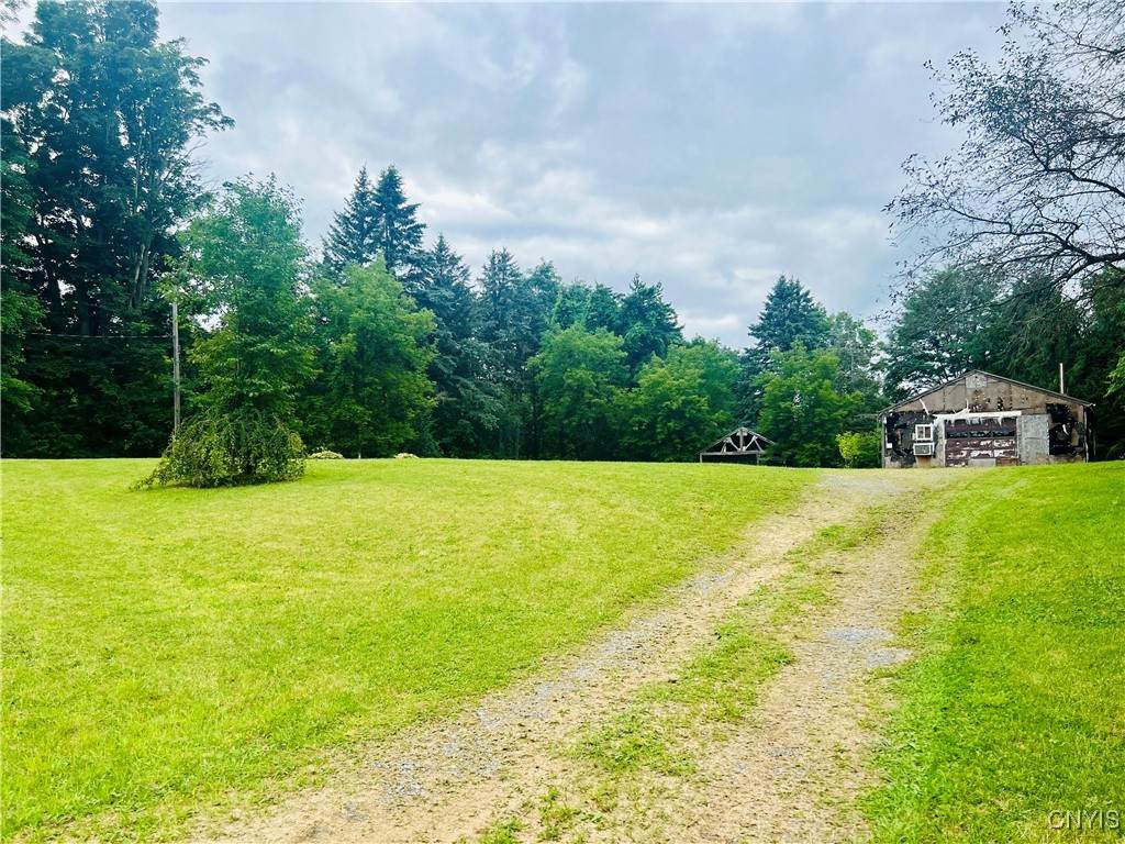 767 Fall Creek Road - Photo 1
