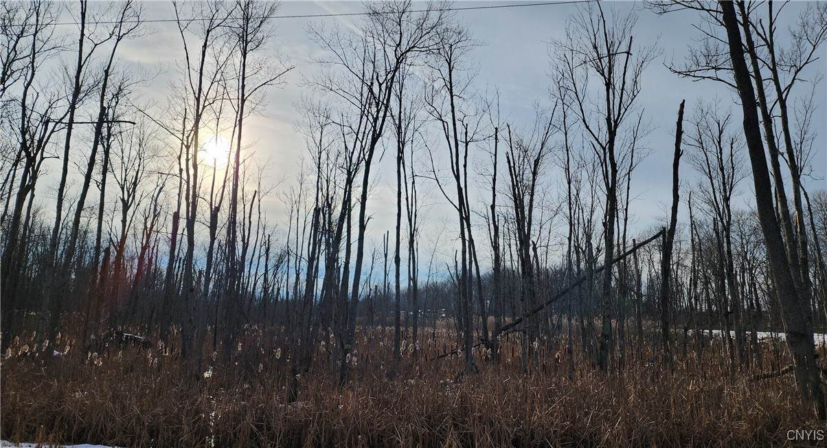0000 Blackmans Corners Road - Photo 1