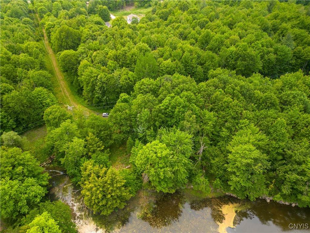 00 Indian River - Photo 1