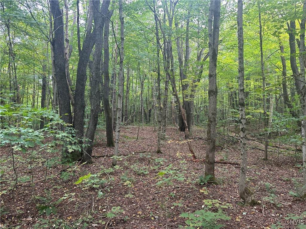 https://bt-photos.global.ssl.fastly.net/rochester/orig_boomver_1_S1562284-2.jpg