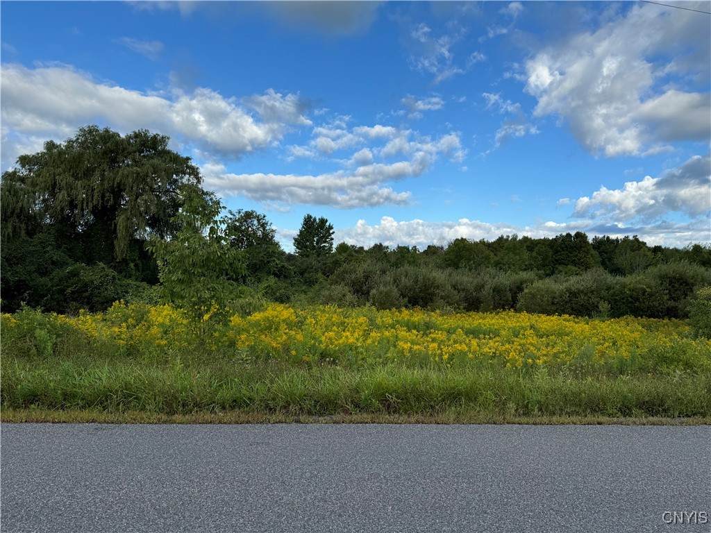 0 Skyline Drive - Photo 1