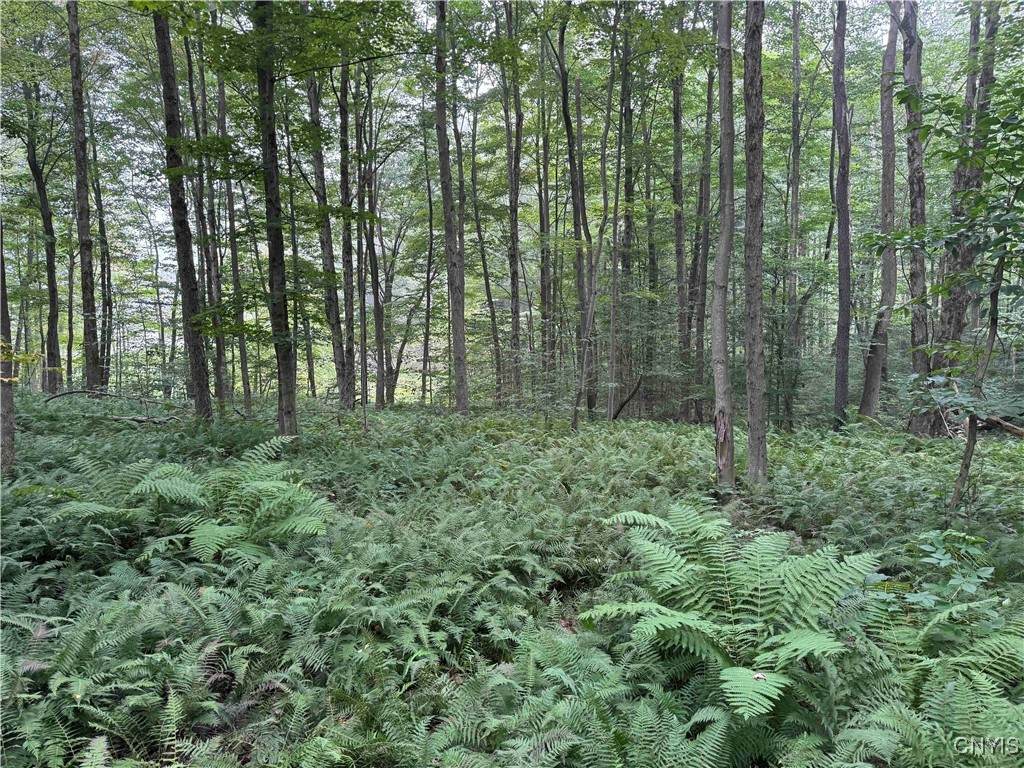 00 Herrick Road - Photo 1
