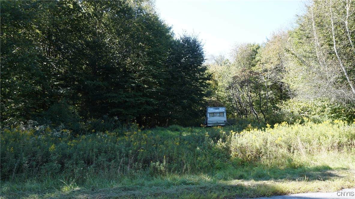 0 Mc Caw Road - Photo 1