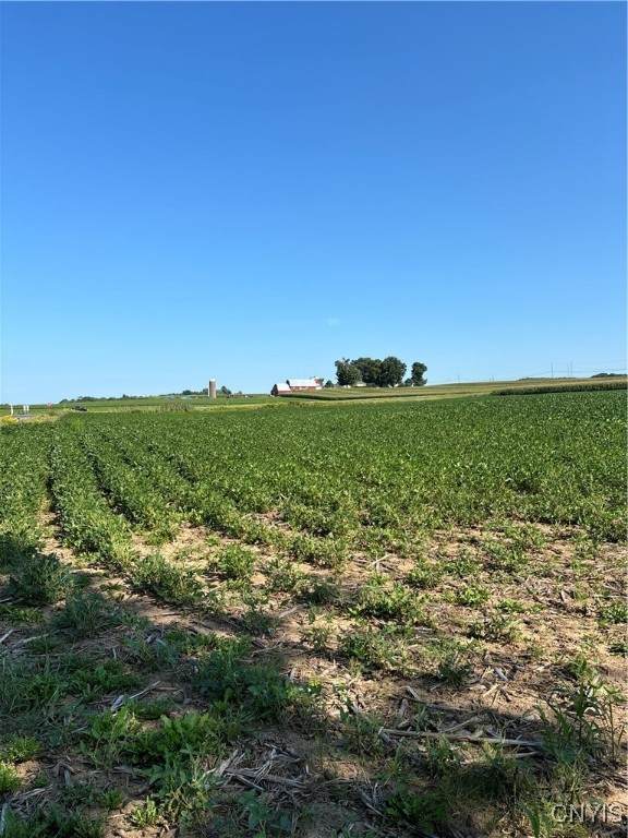 0 Paris Road - Photo 1