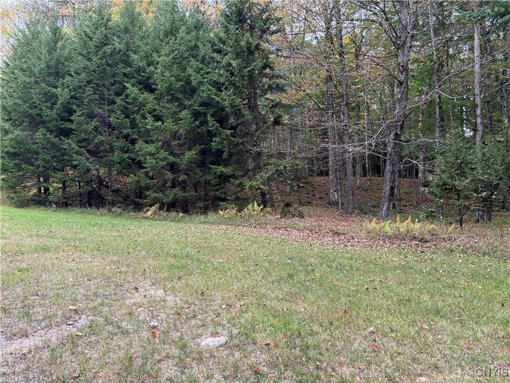 0 Deer Meadows - Photo 1