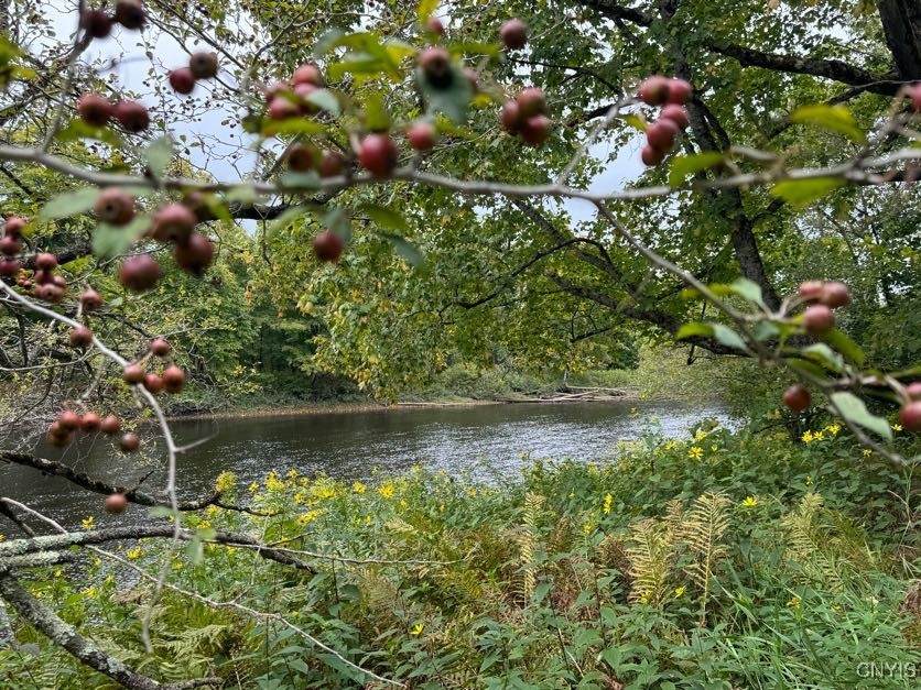 00 River Road - Photo 1
