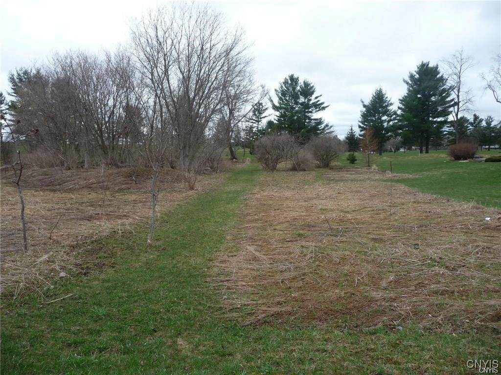 0 Adams - Photo 1
