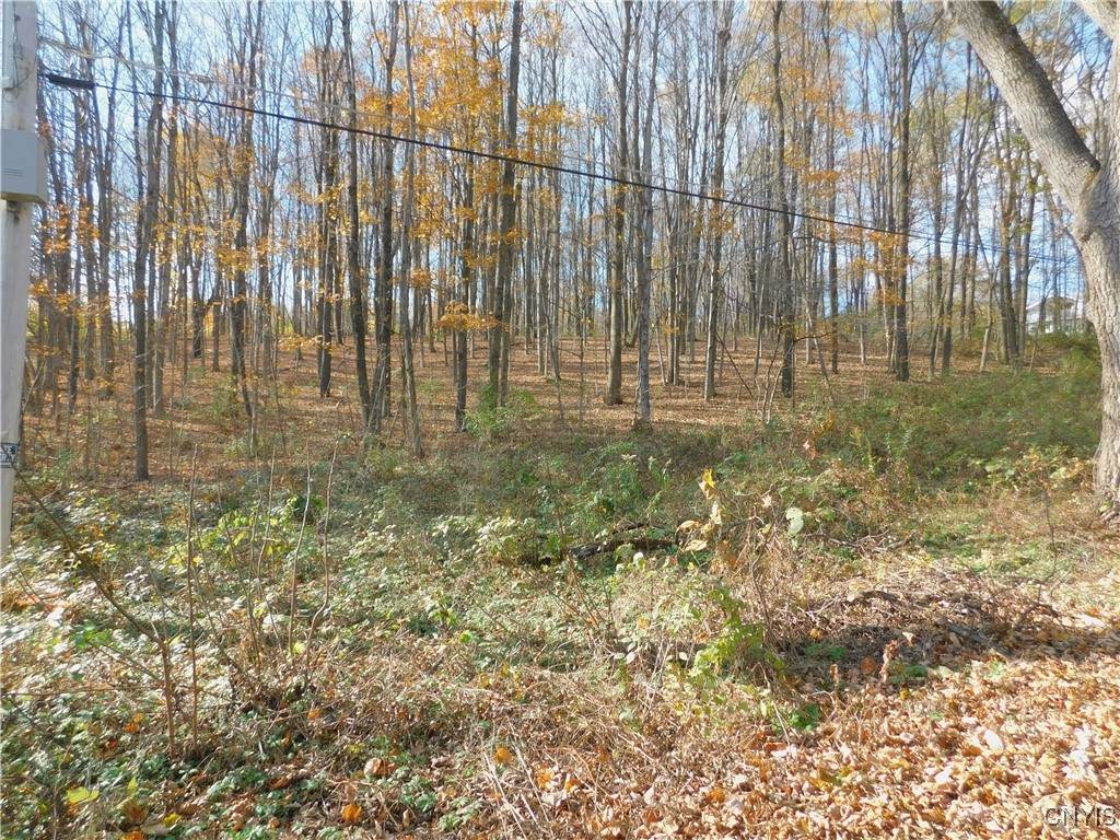 0 Podunk Road - Photo 1