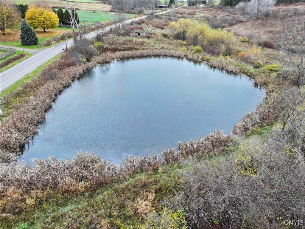  Dry Brook Road - Photo 1