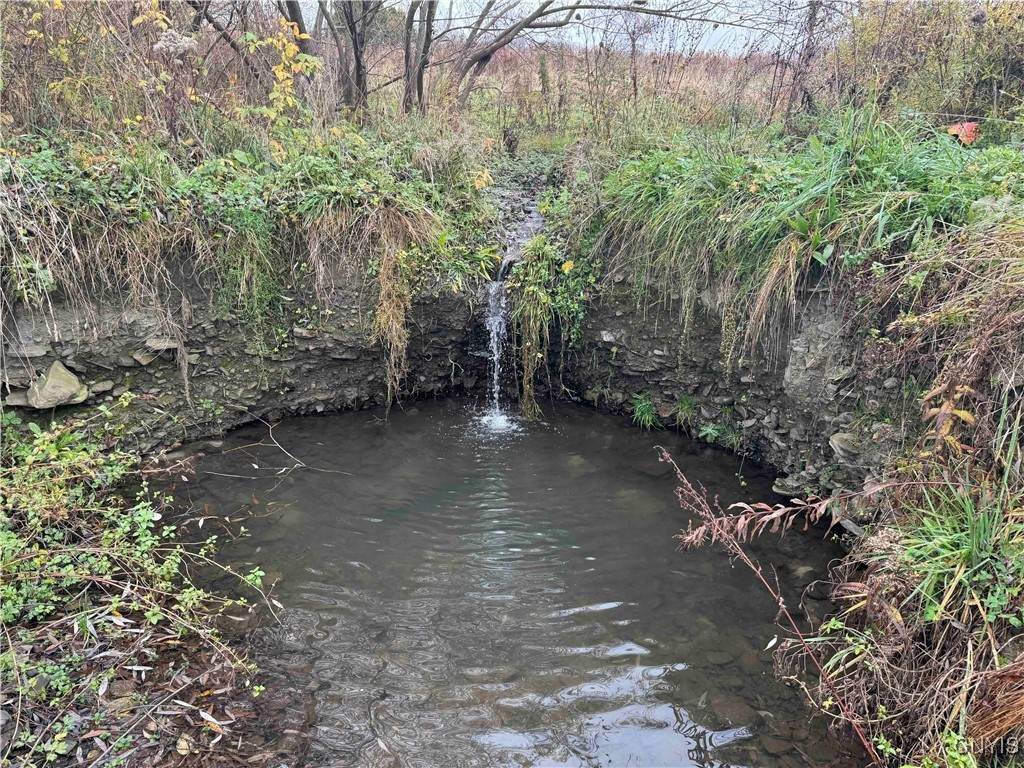  Dry Brook Road - Photo 1