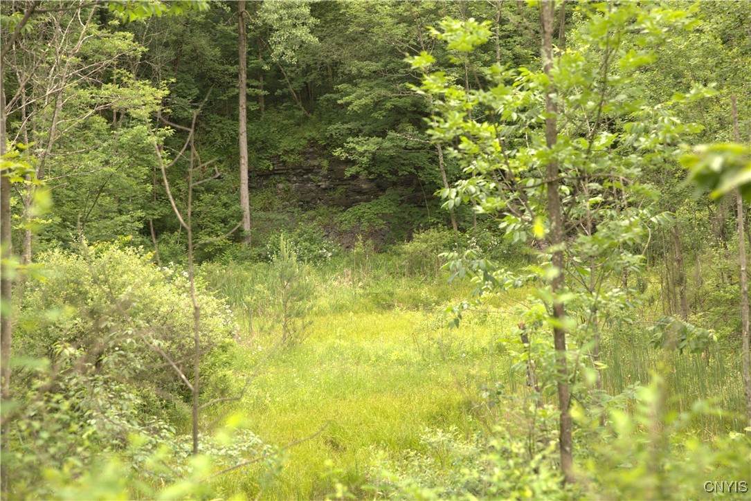 4296 Stramba Road - Photo 1