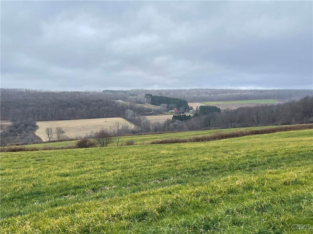  Haights Gulf Road - Photo 1