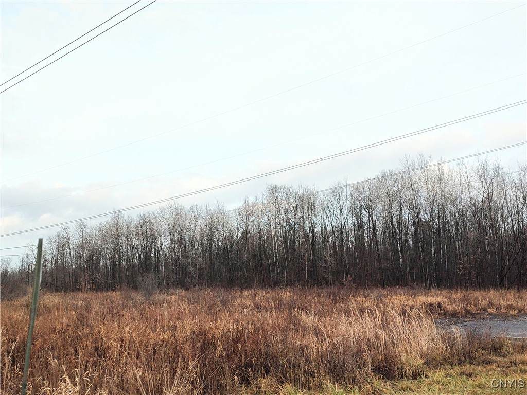  Stephens Road - Photo 1