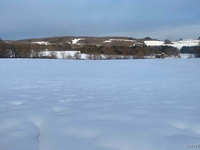  Rowley Jerome Road - Photo 1