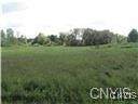 0 Forest Lane/ Turin Rd - Photo 1
